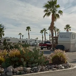 RV parked next to some desert palm trees in Yuma, Arizona